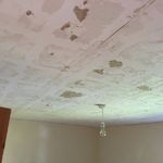 Ceiling in Bridport 31July15-before